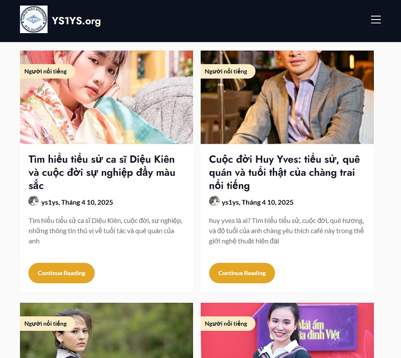 Đôi nét về YS1YS